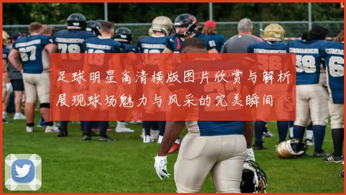 足球明星高清横版图片欣赏与解析展现球场魅力与风采的完美瞬间
