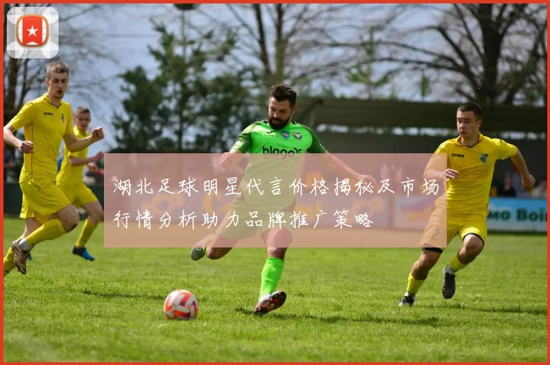 湖北足球明星代言价格揭秘及市场行情分析助力品牌推广策略