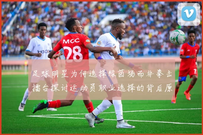 足球明星为何选择绿茵场而非拳击擂台探讨运动员职业选择的背后原因