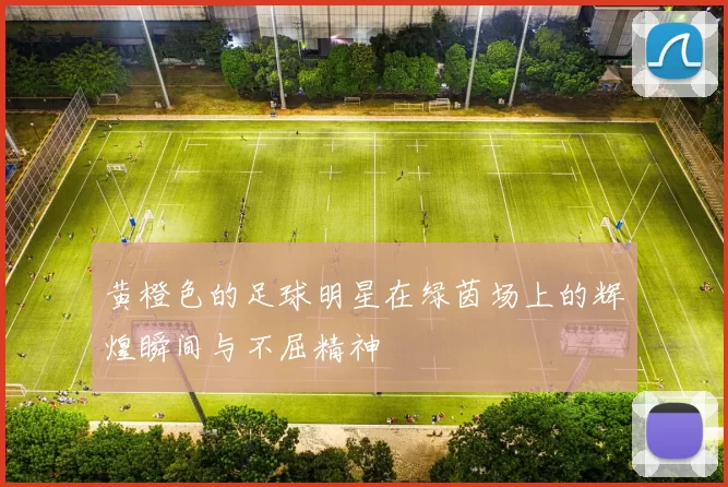 黄橙色的足球明星在绿茵场上的辉煌瞬间与不屈精神
