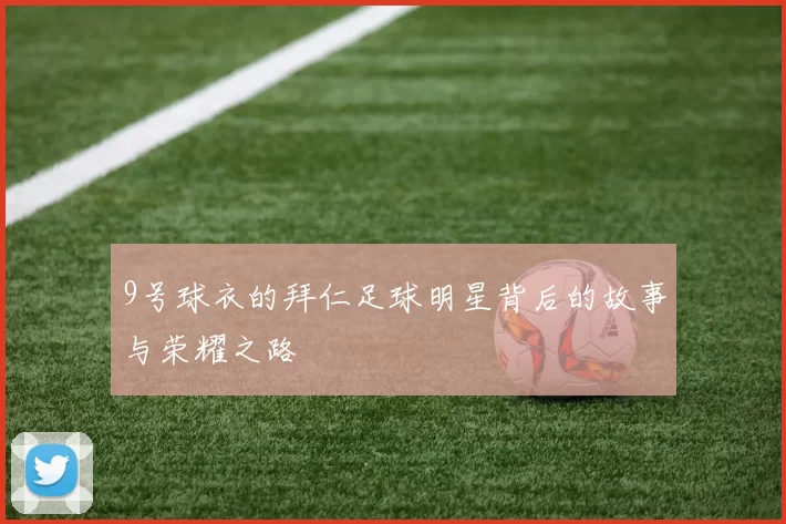 9号球衣的拜仁足球明星背后的故事与荣耀之路