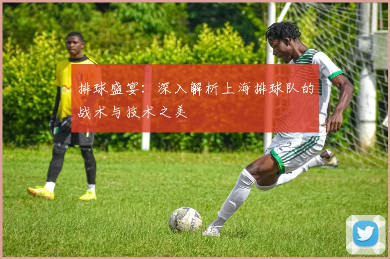 排球盛宴：深入解析上海排球队的战术与技术之美