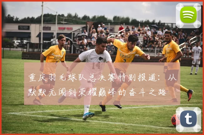 重庆羽毛球队总决赛特别报道：从默默无闻到荣耀巅峰的奋斗之路