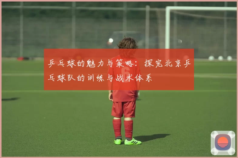 乒乓球的魅力与策略：探究北京乒乓球队的训练与战术体系