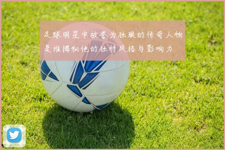足球明星中被誉为独狼的传奇人物是谁揭秘他的独特风格与影响力