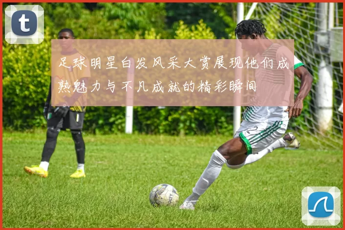 足球明星白发风采大赏展现他们成熟魅力与不凡成就的精彩瞬间