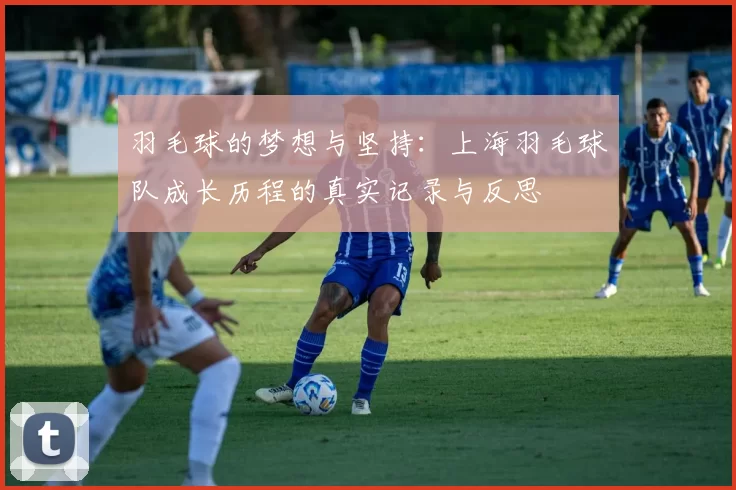 羽毛球的梦想与坚持：上海羽毛球队成长历程的真实记录与反思